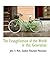 The Evangelization of the World in this Generation