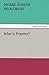 What Is Property?