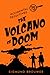 The Volcano of Doom (Accidental Detectives)