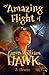 Into the Vast Nothing (The Amazing Flight of Aaron William Hawk, #1)