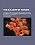 The gallery of nature; a pictorial and descriptive tour through creation, illustrative of the wonders of astronomy, physical geography, and geology