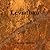 Leviathan