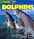 Dolphins
