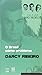 O Brasil como problema. -- ( Darcy no bolso ; 2 )