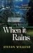 When it Rains by Steven Wilkens