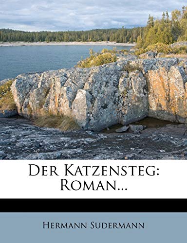 Der Katzensteg: Roman...