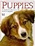 Puppies