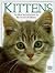 Kittens: An Ideal Introduction to the World of Kittens