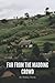 Far from the Madding Crowd (Annotated): Thomas Hardy Epic Classic (Annotated)