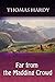 Far from the Madding Crowd