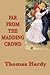 Far from the Madding Crowd