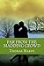 Far from the Madding Crowd