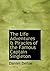 The Life Adventures a Piracies of the Famous Captain Singleton (Large Print Edition)