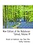 New Edition of the Babylonian Talmud, Volume IV