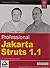 Professional Jakarta Struts 1.1