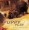 Puppy @ Play Puppy @ Play