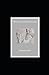 The Code of Hammurabi illustrated