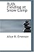 Ruth Fielding at Snow Camp: Or, Lost in the Backwoods