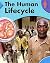 The Human Lifecycle