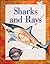 Sharks and Rays: Set One (Explorers)