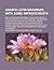 Adam's Latin grammar, with some improvements; and the following additions: rules for the right pronunciation of the Latin language, a metrical key to ... arranged according to the different ages of