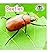 Beetles (Backyard Safari)