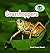 Grasshoppers (Backyard Safari)