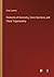 Elements of Geometry, Conic Sections, and Plane Trigonometry