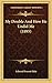 My Double And How He Undid Me (1895)