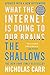 The Shallows: What the Internet Is Doing to Our Brains