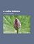 La niña robada (Spanish Edition)
