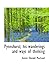 Pynnshurst; his wanderings and ways of thinking