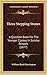 Three Stepping Stones: A Question Book For The Younger Classes In Sunday Schools (1877)