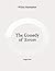The Comedy of Errors: Large Print