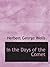 In the Days of the Comet
