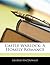 Castle Warlock: A Homely Romance