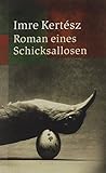 Roman eines Schic...