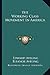 The Working Class Movement In America