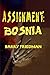 Assignment: Bosnia