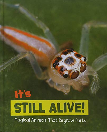 It's Still Alive!: Magical Animals