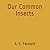 Our Common Insects