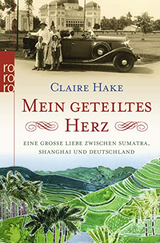 Mein geteiltes Herz (Pocket Book)