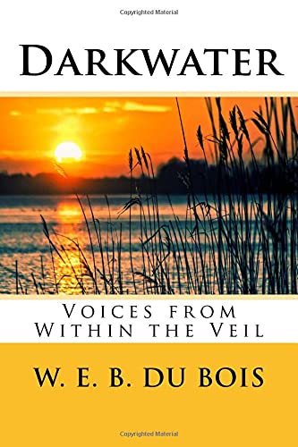 Darkwater: Voices from Within the Veil