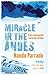 Miracle in the Andes