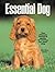 The Essential Dog