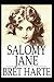Salomy Jane Illustrated