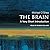 The Brain: A Very Short Introduction (Very Short Introductions)