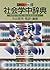新しい世紀の社会学中辞典