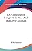 On Comparative Longevity In Man And The Lower Animals