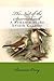 The Nest of the Sparrowhawk: A Romance of the XVIIth Century